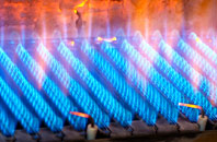 Badshalloch gas fired boilers